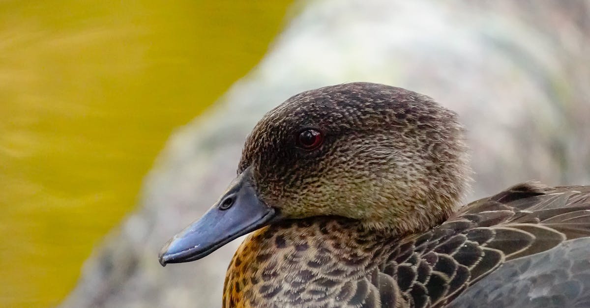 Advancements in Orthotic Technology for Better Comfort